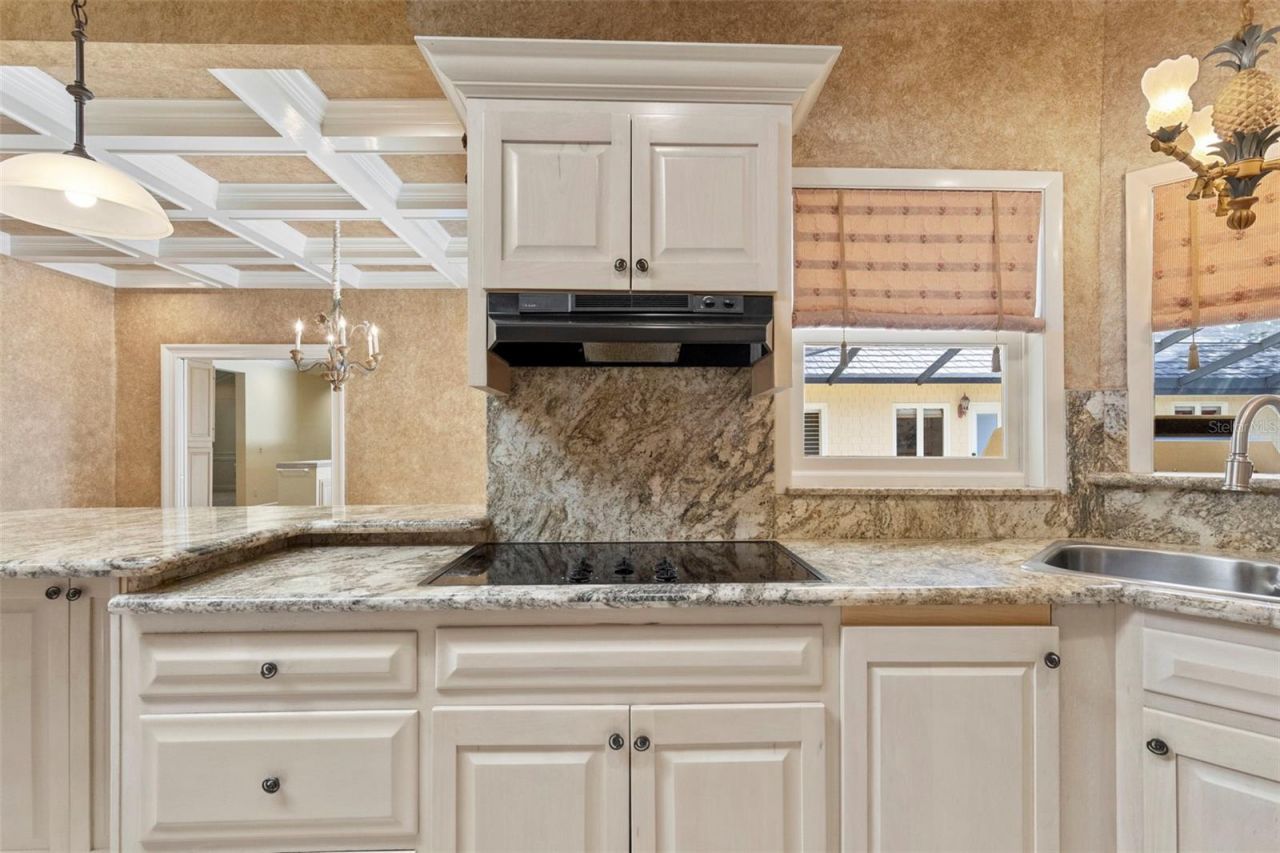 16310 Avila Boulevard, Tampa, FL 33613 Photo