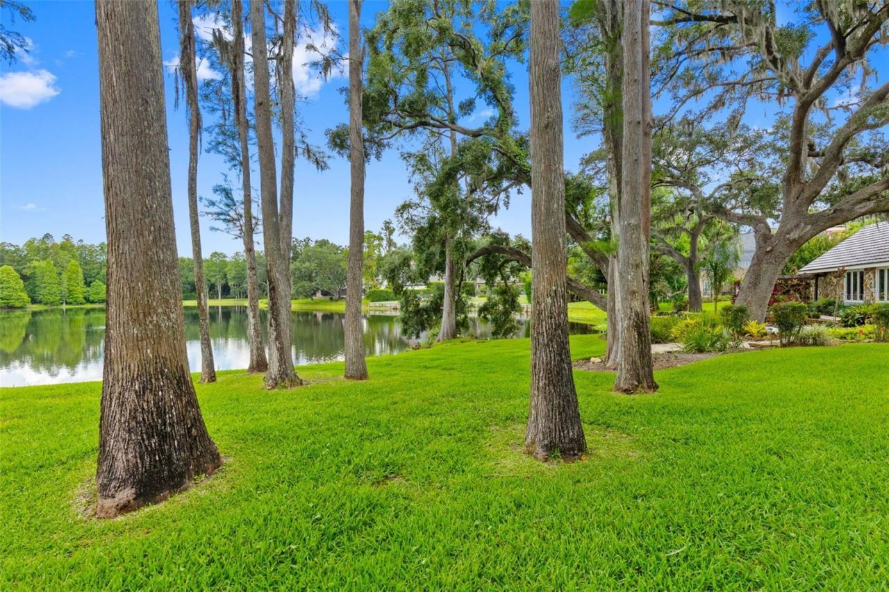 16310 Avila Boulevard, Tampa, FL 33613 Photo