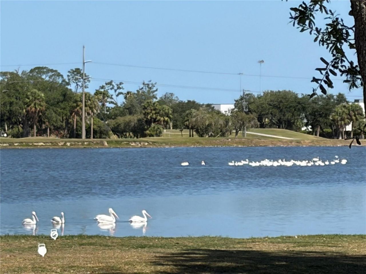 9001 69th Avenue E, Palmetto, FL 34221 Photo