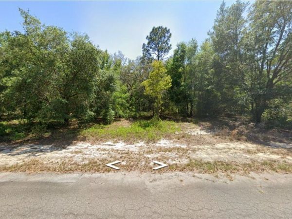 0 GUAVA LANE PLACE , OCKLAWAHA, FL 32179
