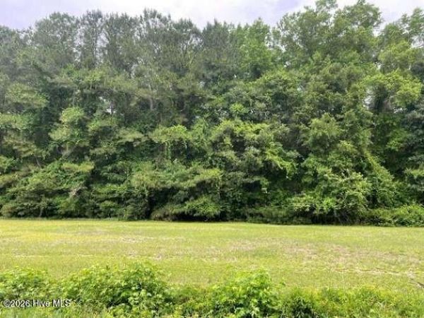 Tbd Point Caswell Road , Watha, NC 28478