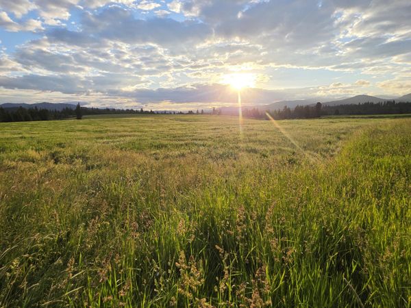 NKA 1 Sunrise Dr , Harrison, ID 83833