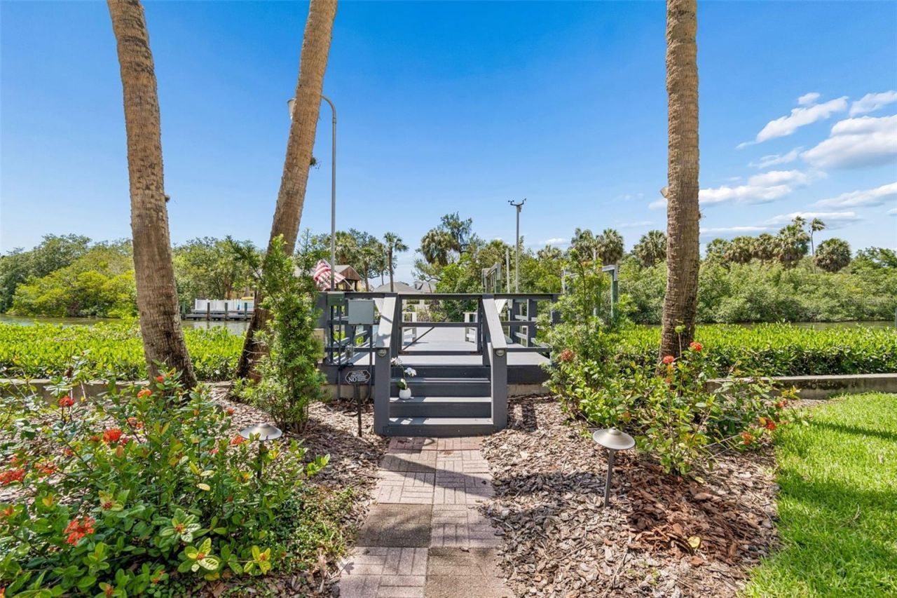 814 S Bayside Drive, Tampa, FL 33609 Photo