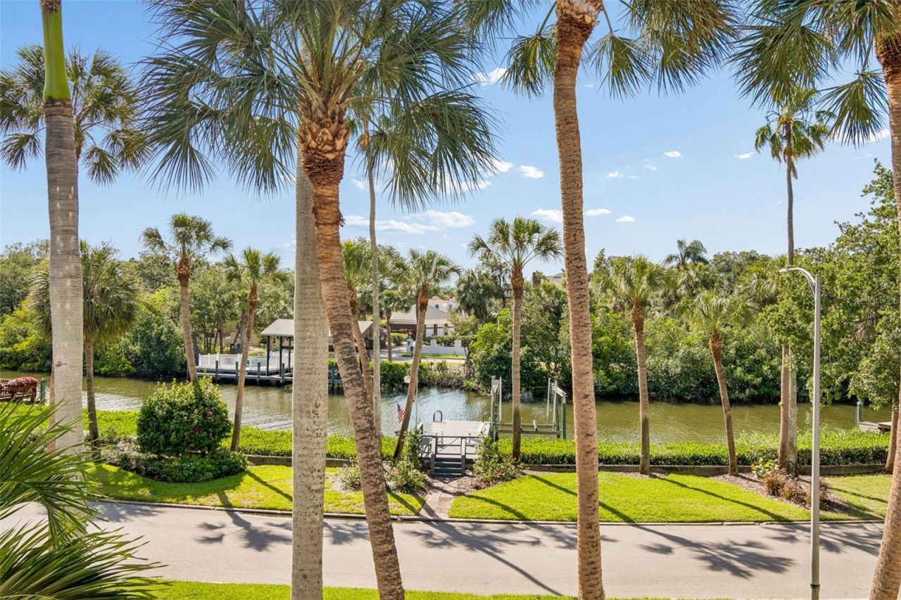 814 S Bayside Drive, Tampa, FL 33609 Photo