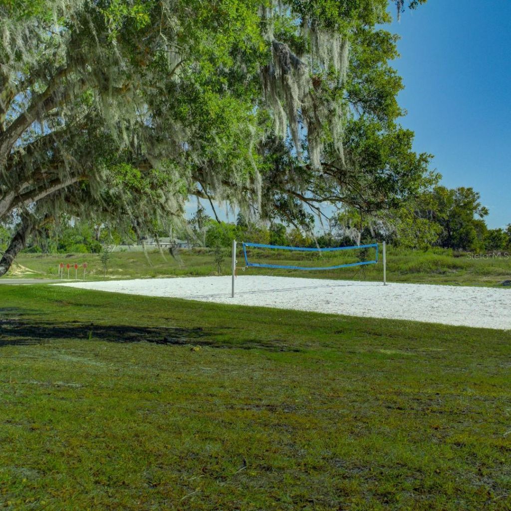 9237 Harris Hawk Drive , Leesburg, FL 34788 Photo