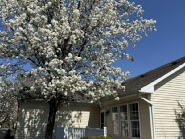 245 Chandler Ct, Hillsborough, NJ 08844