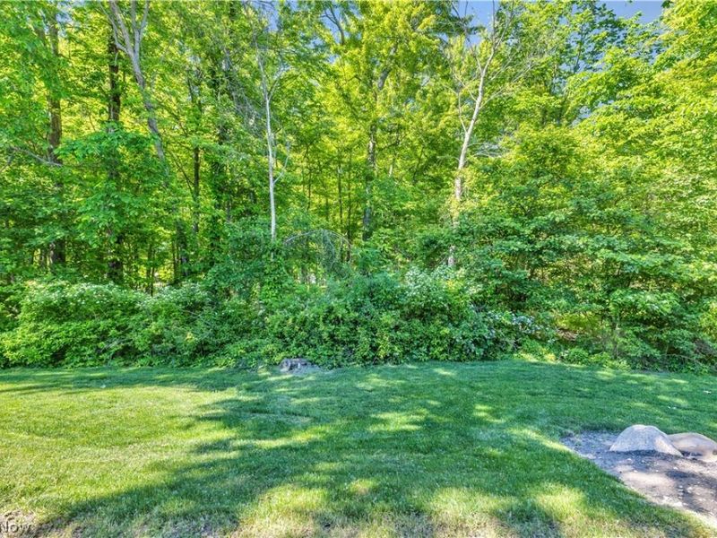 29 Community Drive, Avon Lake, OH 44012 Photo 25