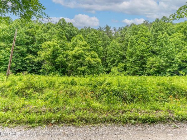 0 Johns Creek Rd , Del Rio, TN 37727