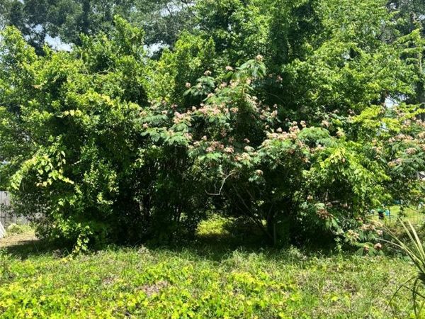 206 NE 13TH AVENUE , CHIEFLAND, FL 32626