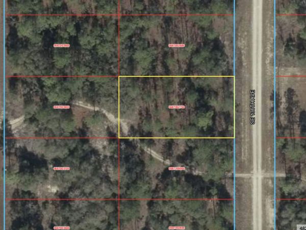 0 SE 136 Avenue, Morriston, FL 32668