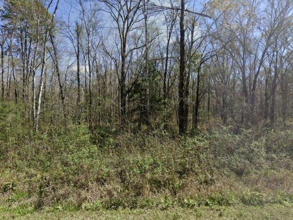 10510 Underwood Ave, Hastings, FL 32145