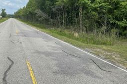 0 Cade Road photo 4