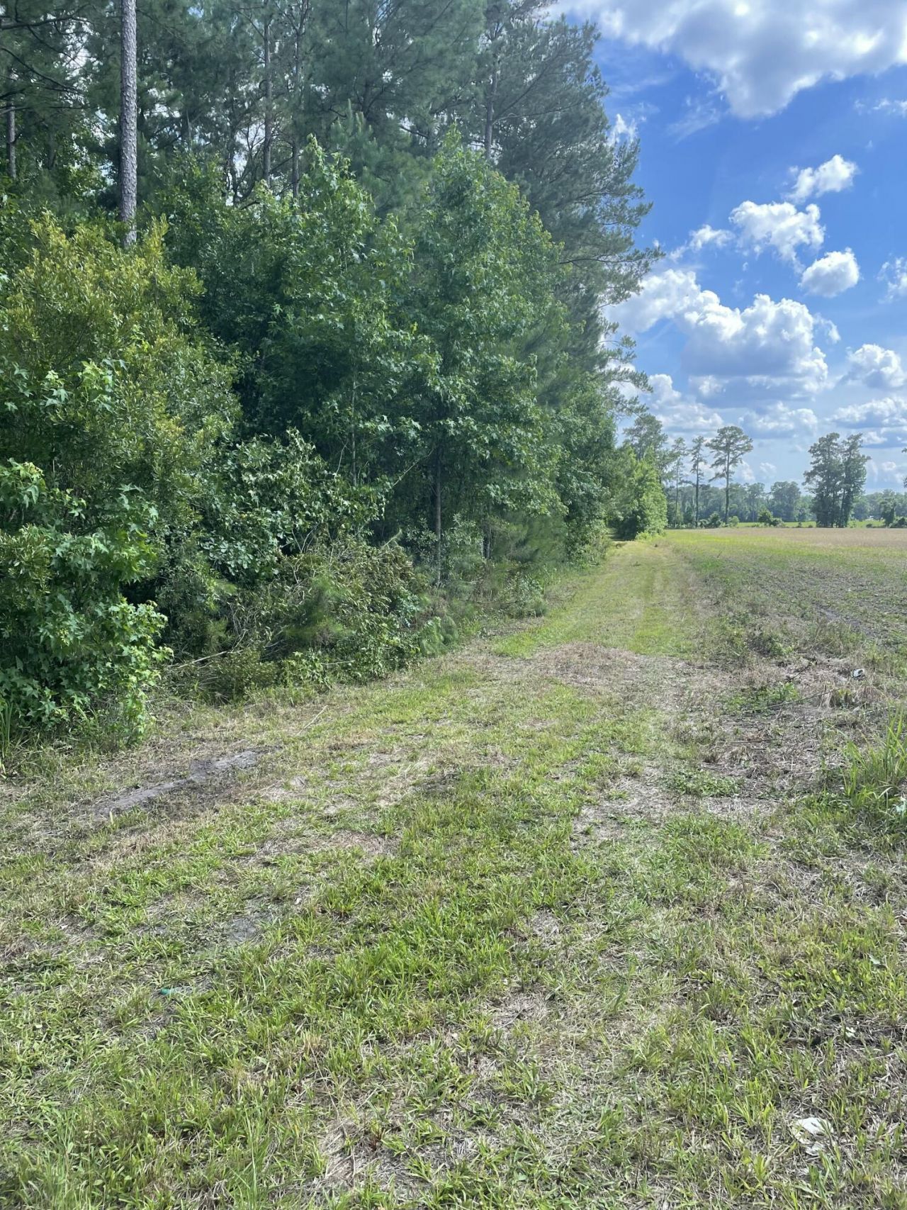 0 Cade Road Photo 4