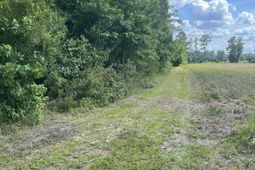 0 Cade Road photo 4