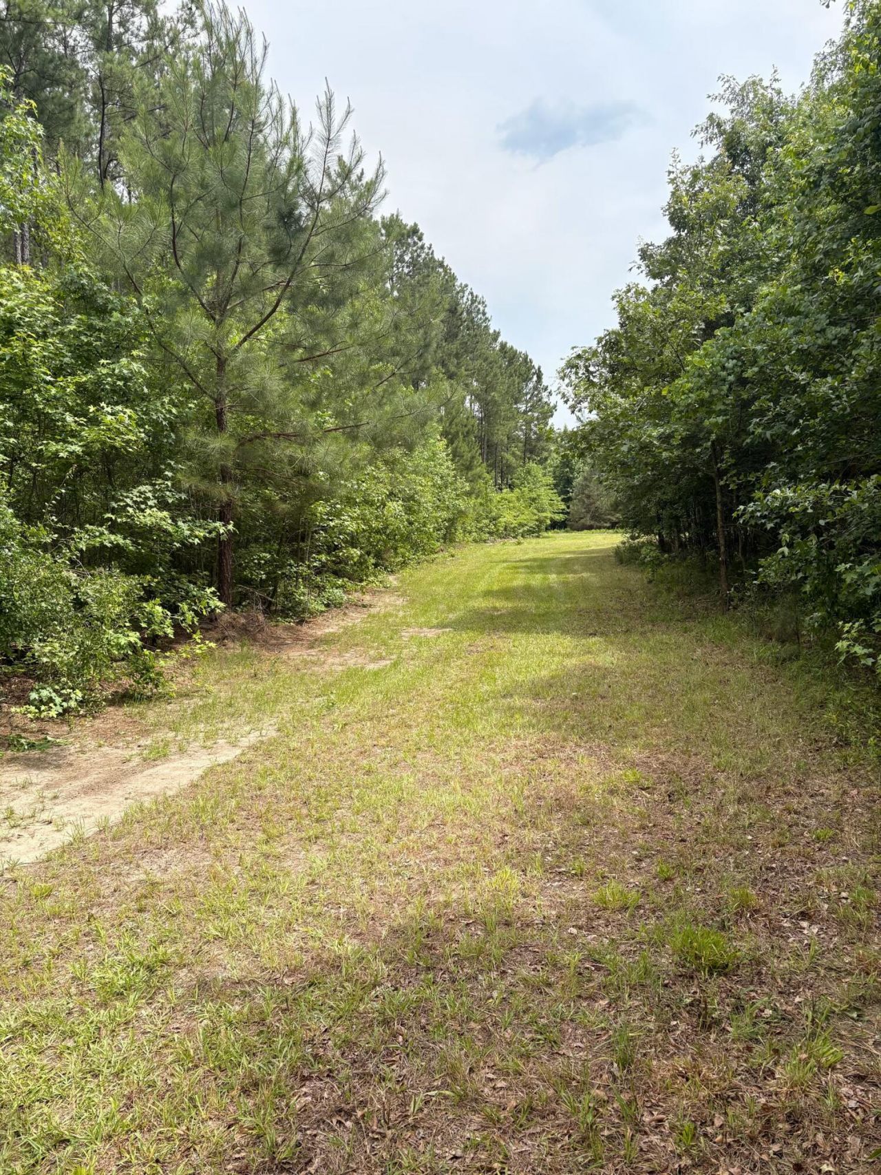 0 Cade Road Photo 5
