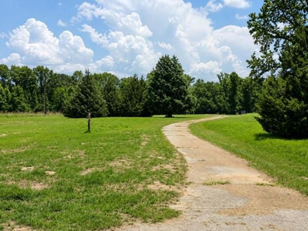 797 County Road 2958 , Alba, TX 75410