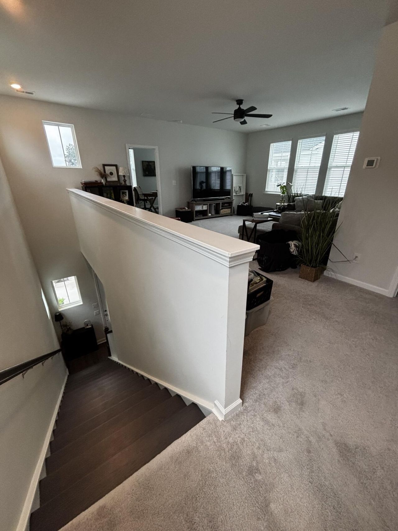 214 Narrowleaf Avenue Photo 21