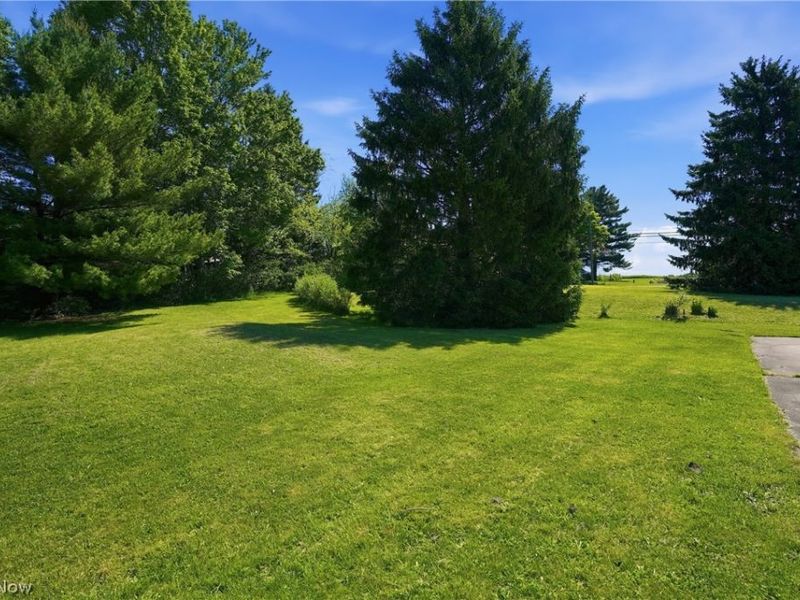 8733 State Route 44 , Ravenna, OH 44266 Photo 9