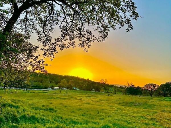 159 Albright Court, Angels Camp, CA 95222