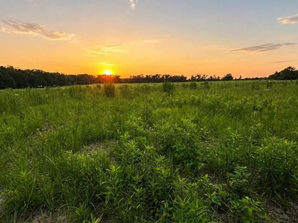 LOT 0 SW MAYO RD, Lake City, FL 32024