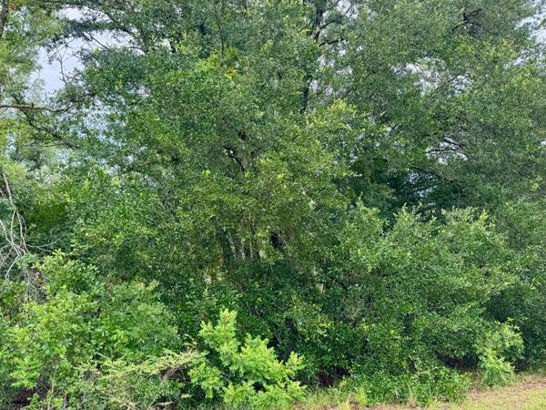 LOT 7 NW BUR OAK PLACE, Jennings, FL 32053