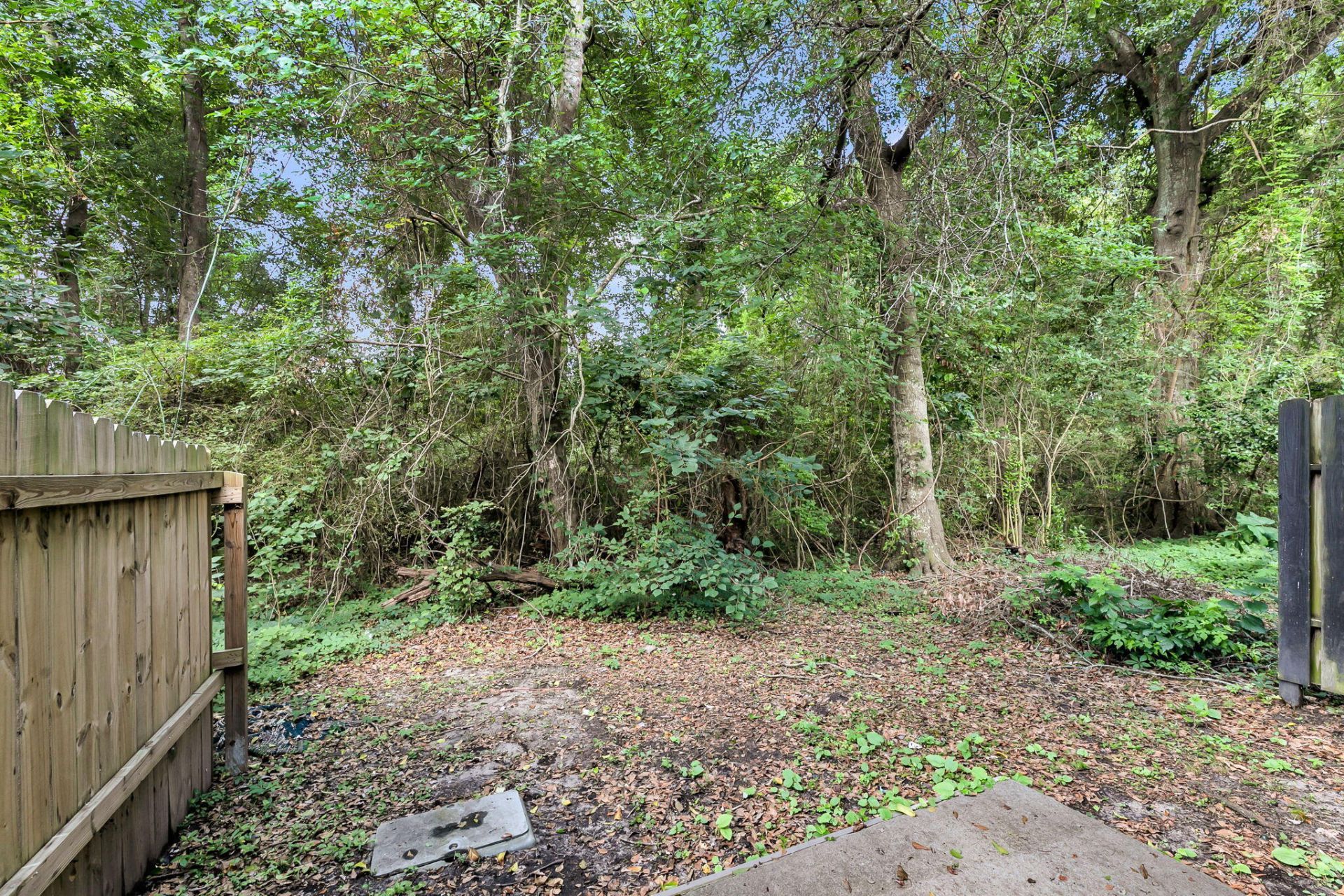 2491 Realm Street Photo 22
