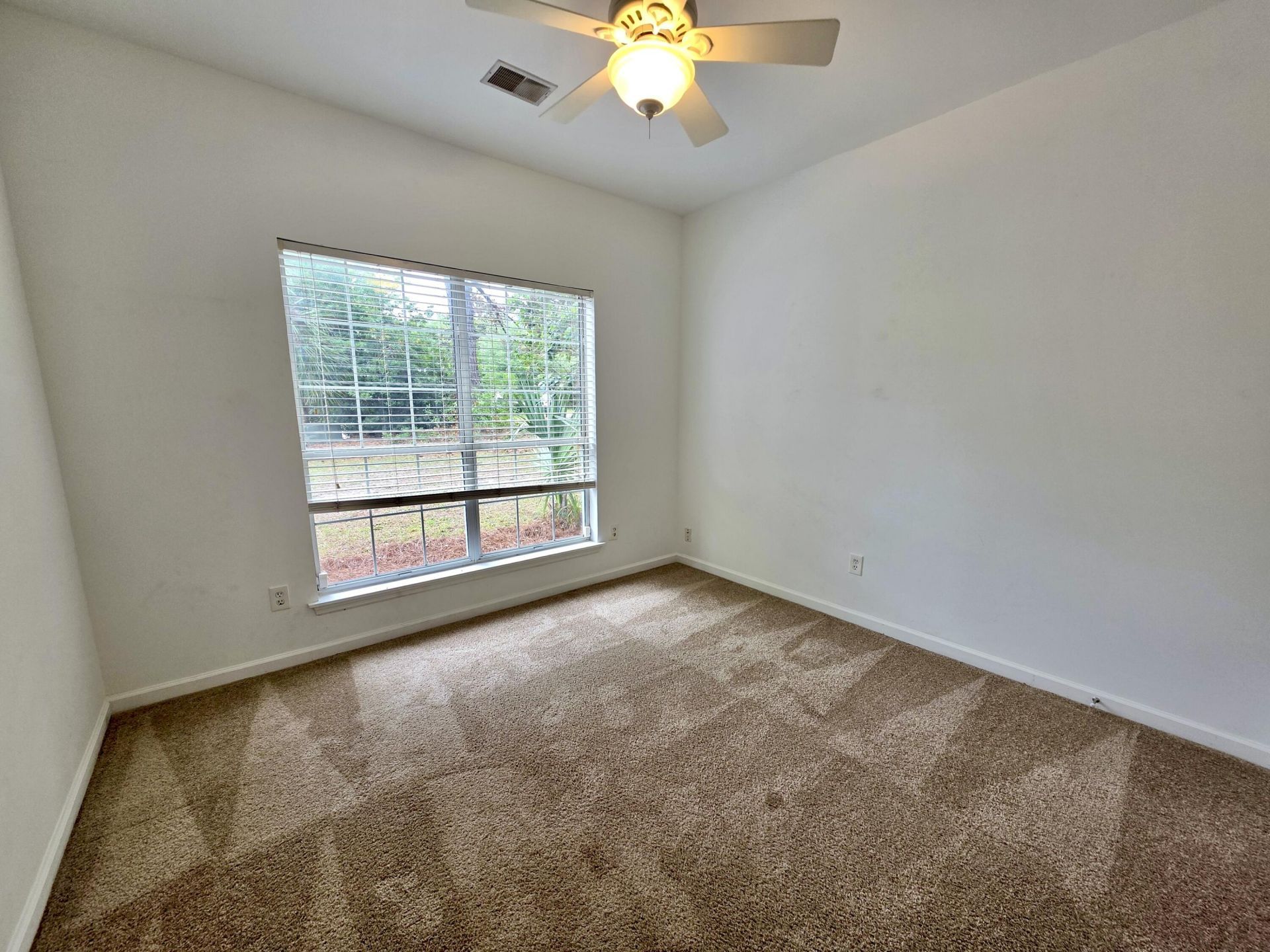 470 Cane Court Photo 20