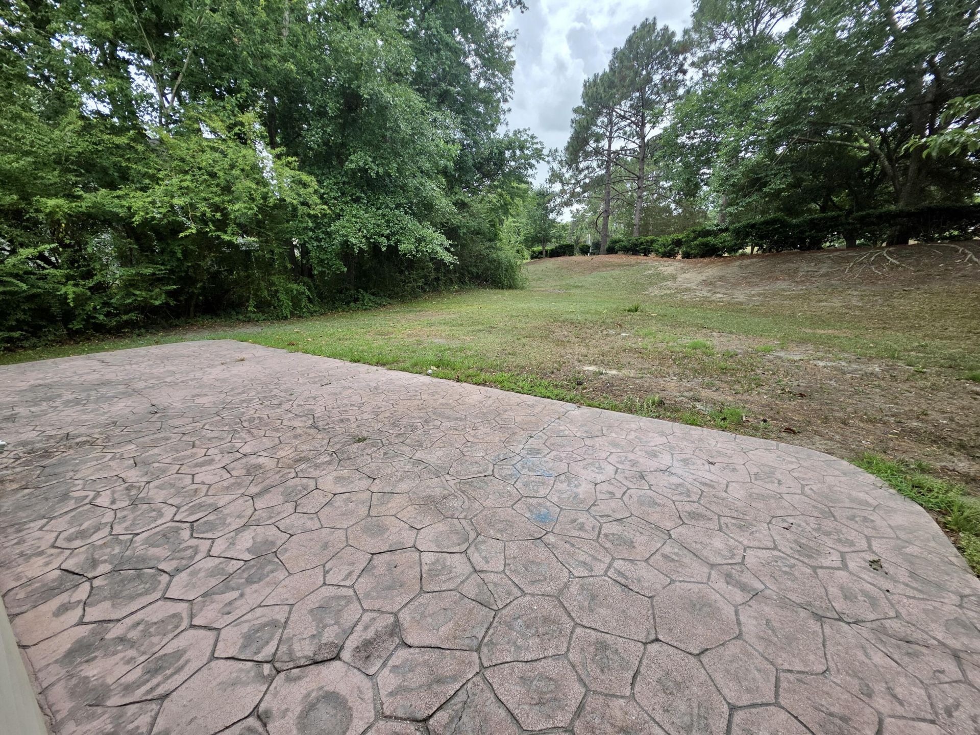 470 Cane Court Photo 21