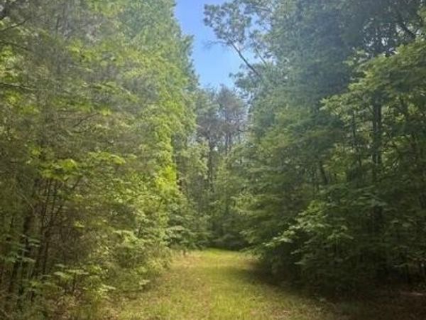 43 Bluffs Woods , Unit Lot 43, Altamont, TN 37301