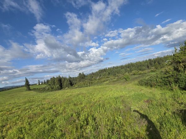 NKA 2 Sunrise Dr , Harrison, ID 83833