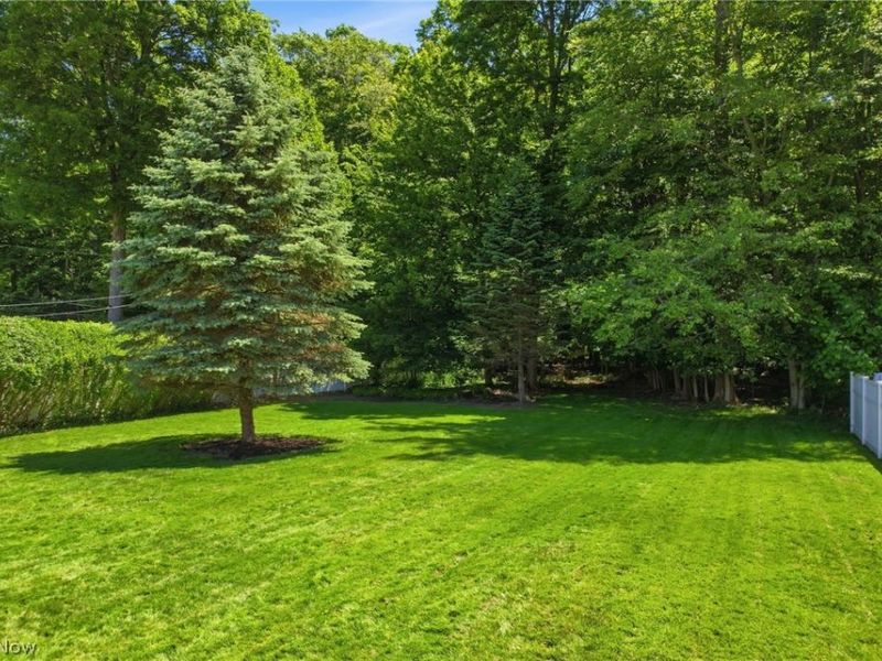 1633 Windsor Drive, Mayfield Heights, OH 44124 Photo 47
