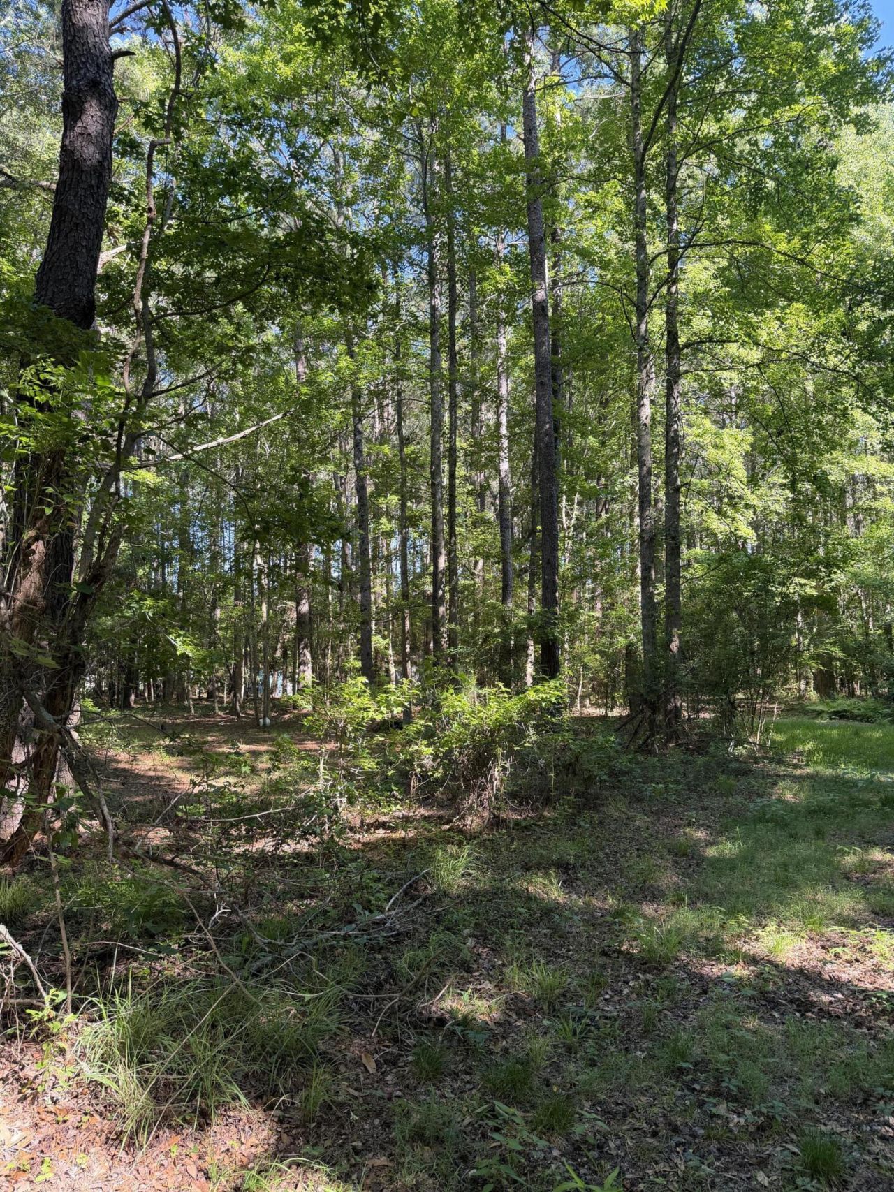 3125 State Road Photo 11