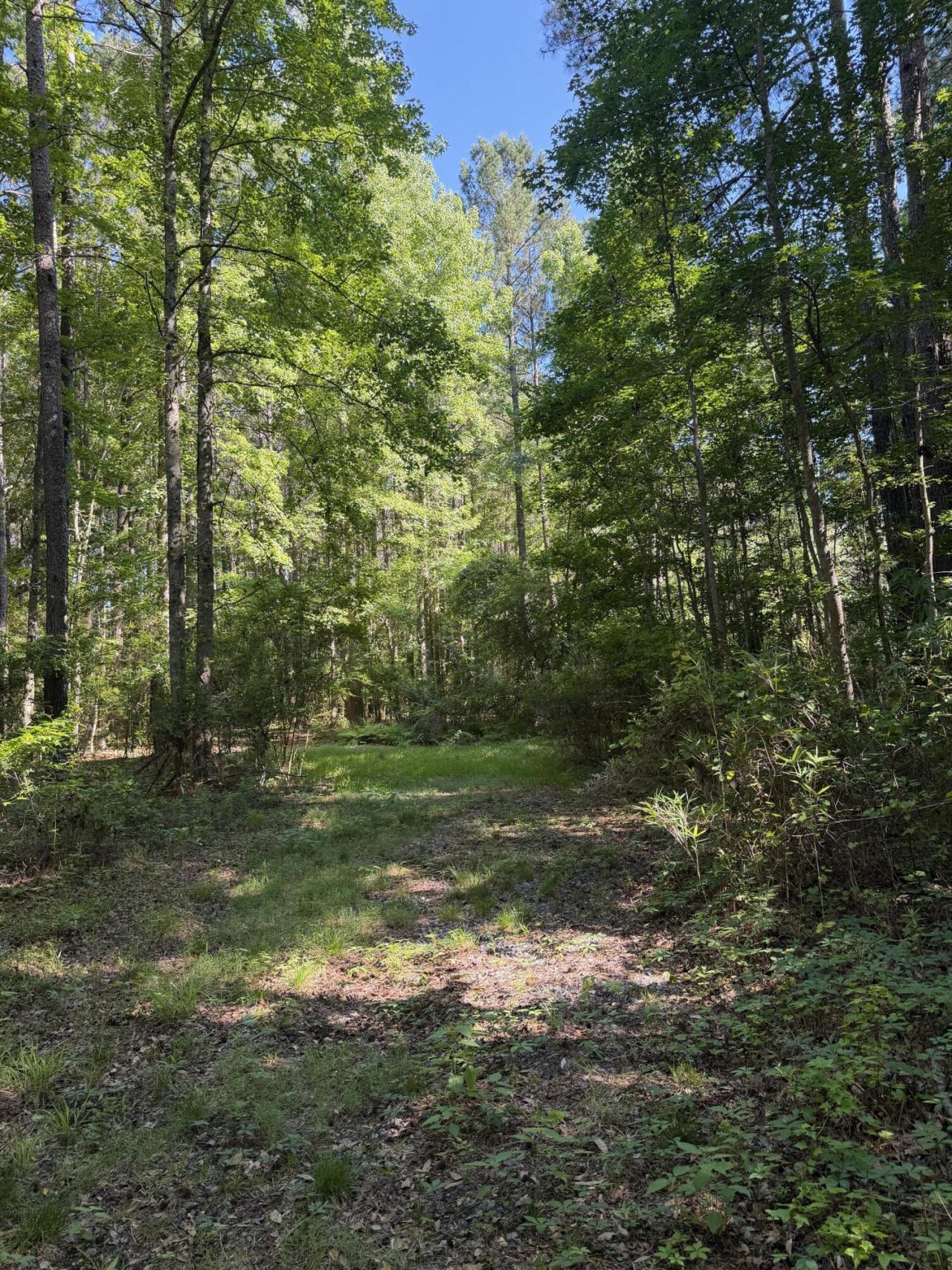 3125 State Road Photo 12