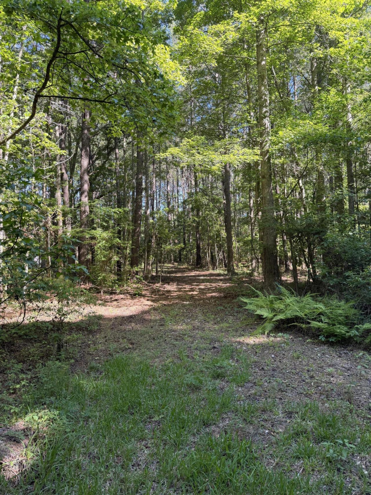 3125 State Road Photo 13