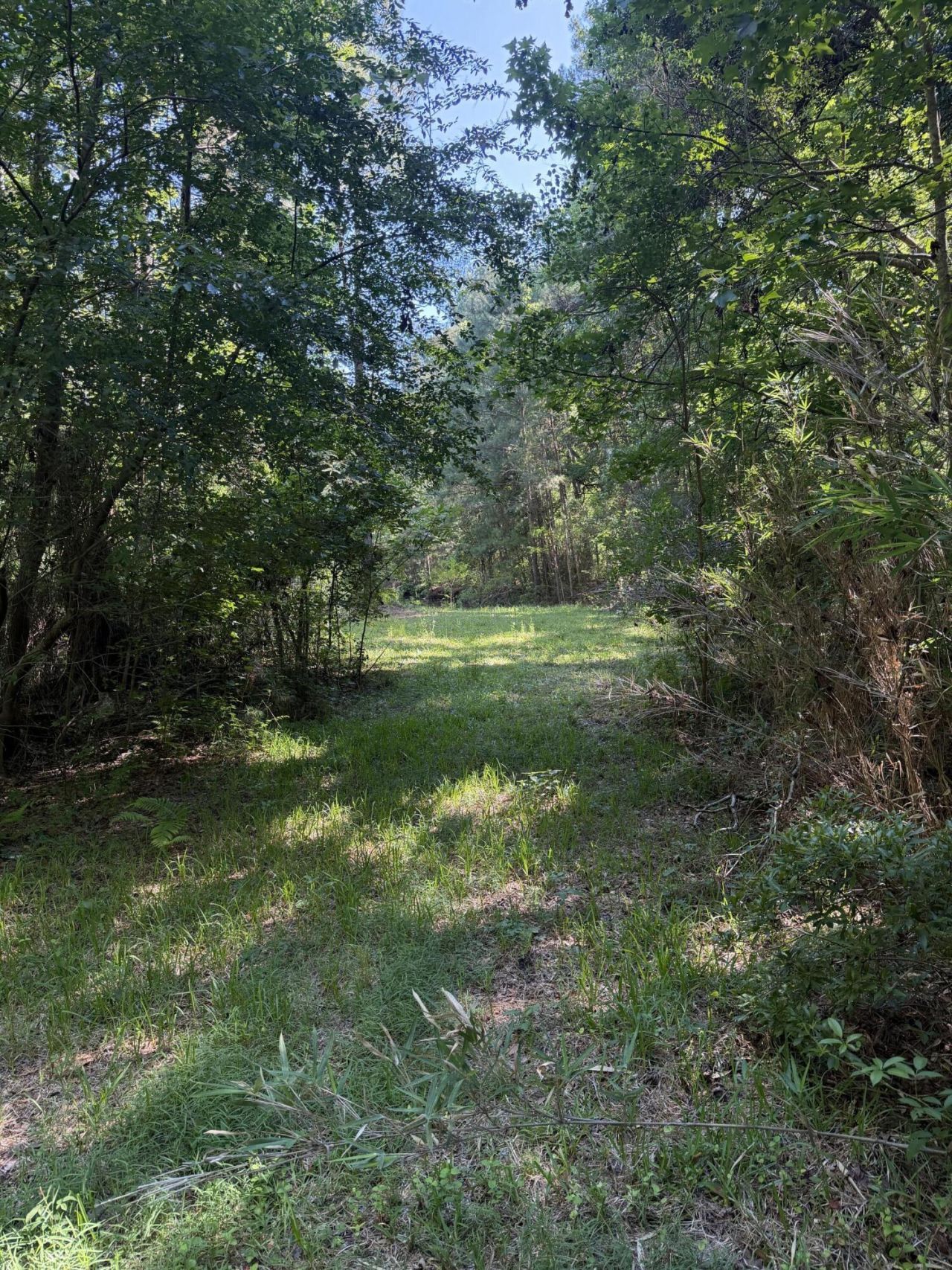 3125 State Road Photo 14