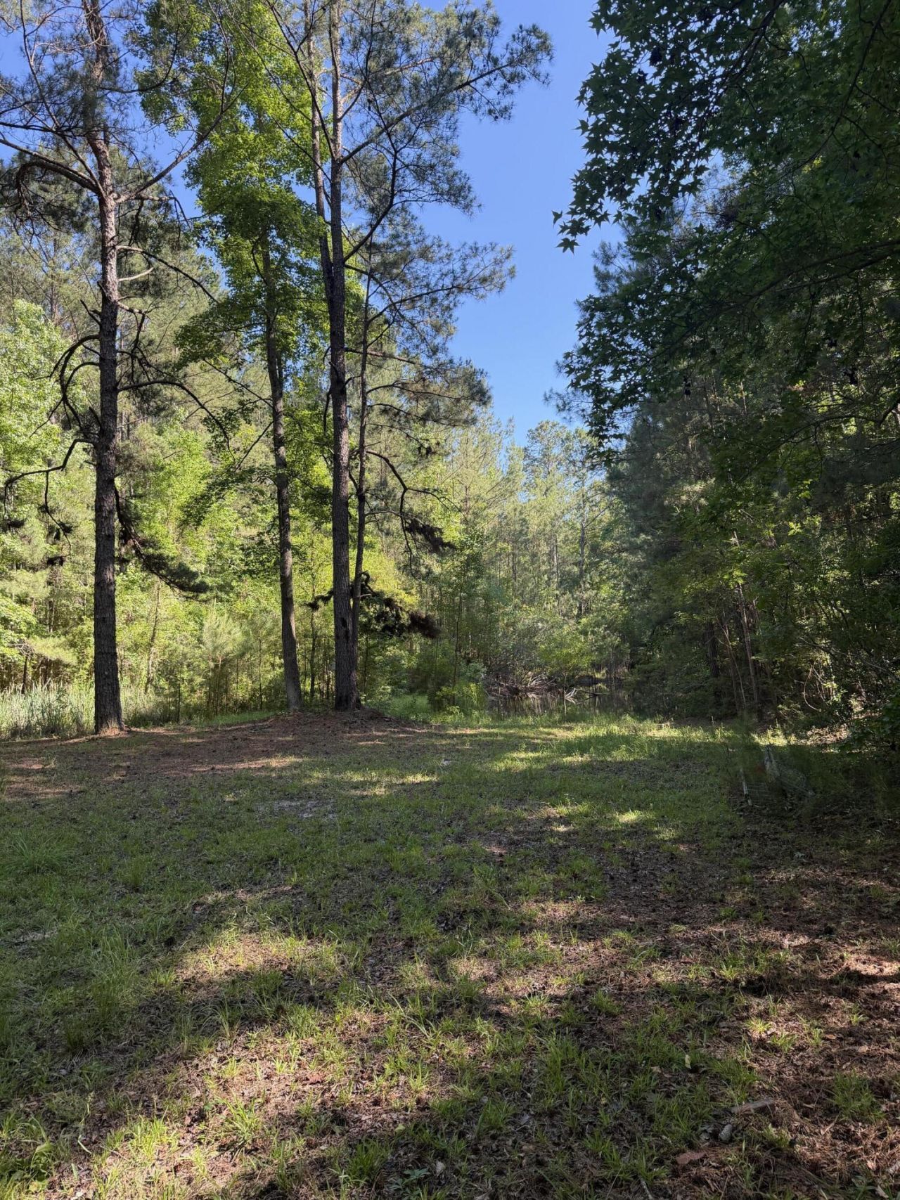 3125 State Road Photo 15