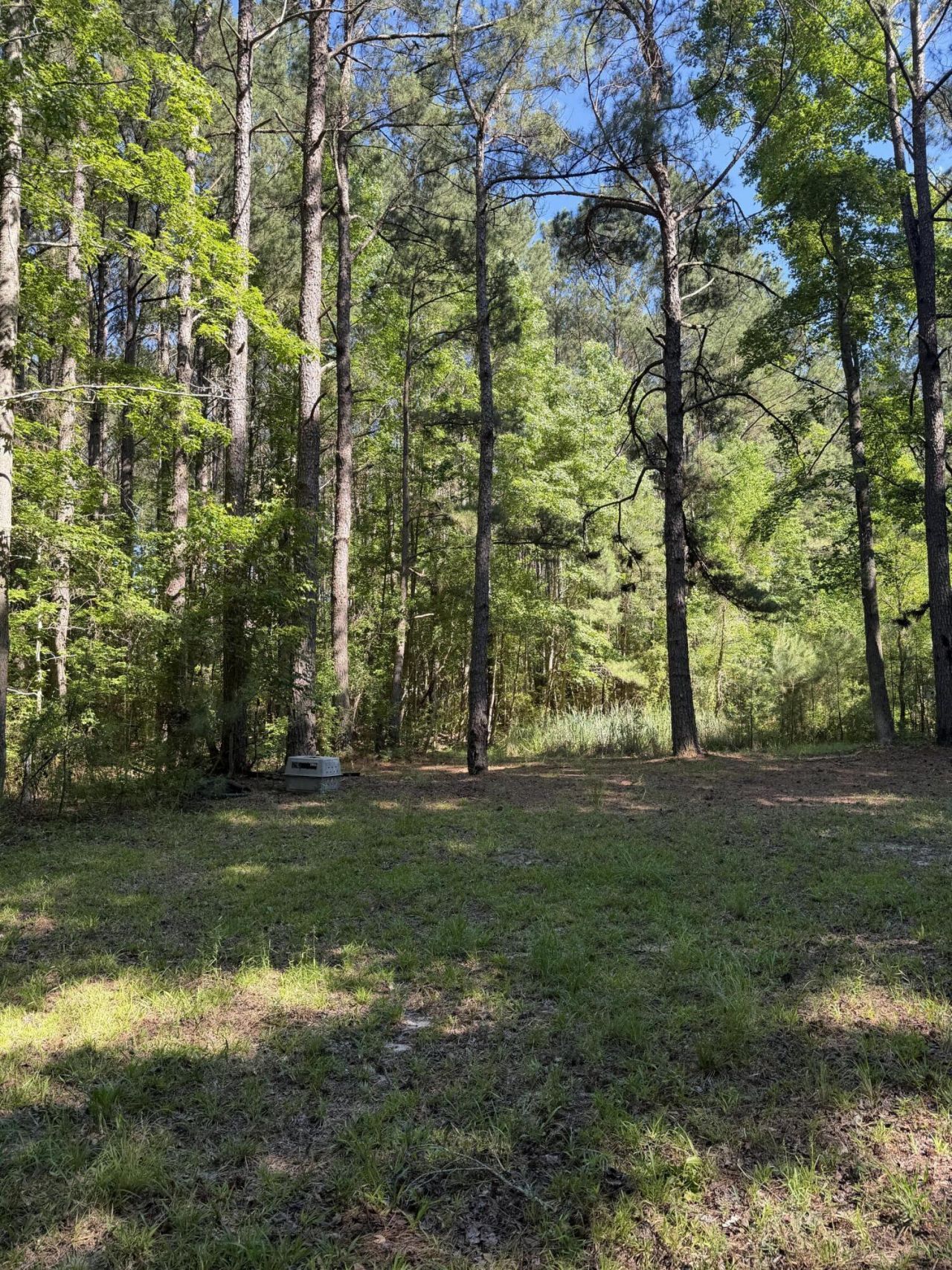 3125 State Road Photo 16