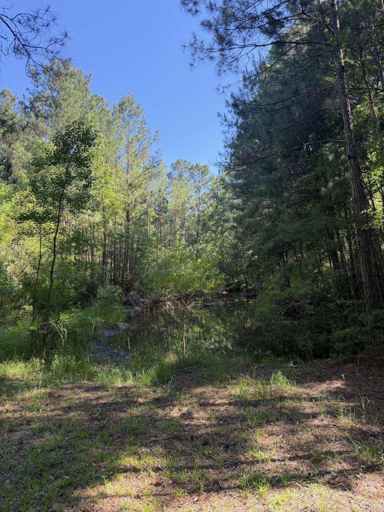 3125 State Road Photo 17