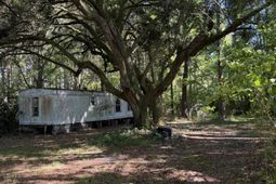 3125 State Road photo 4