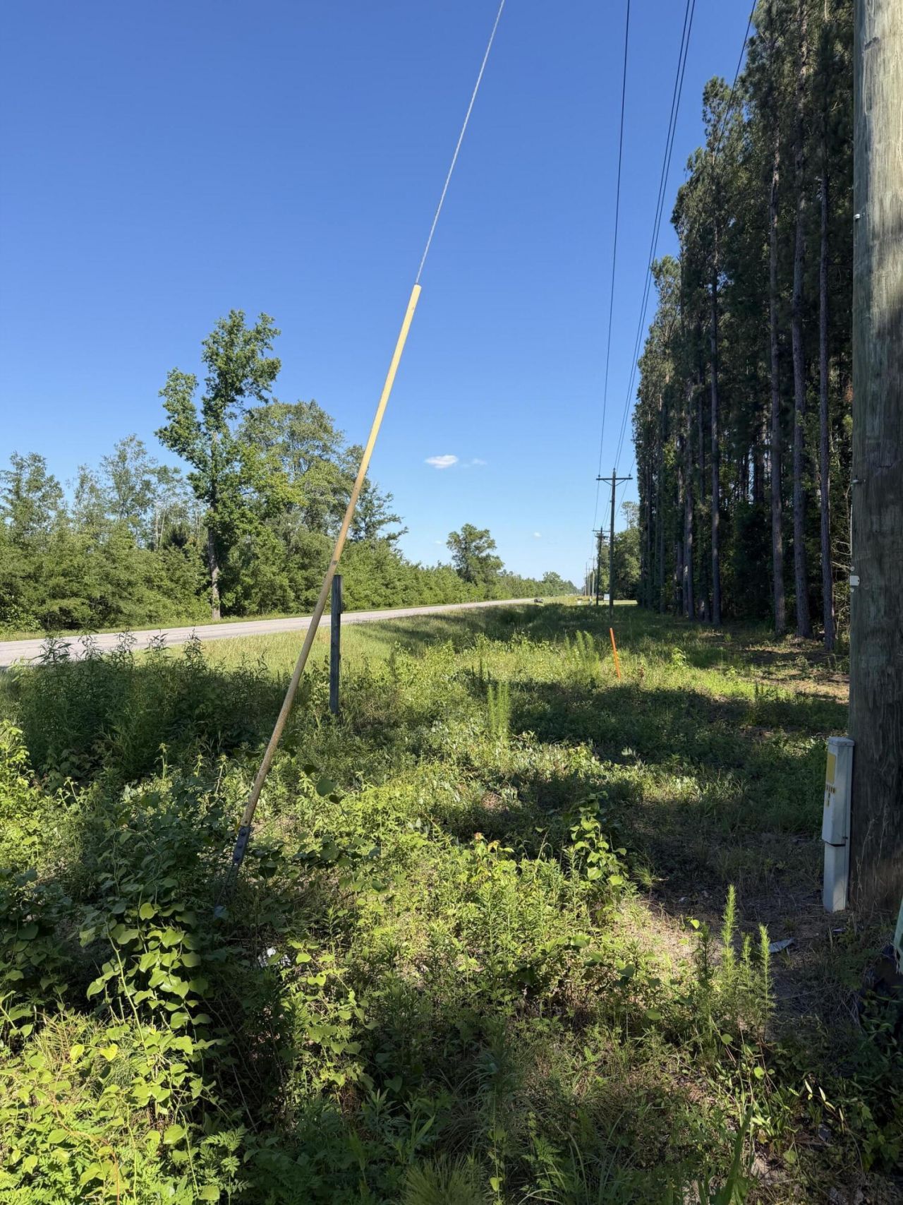 3125 State Road Photo 4
