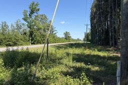 3125 State Road photo 4