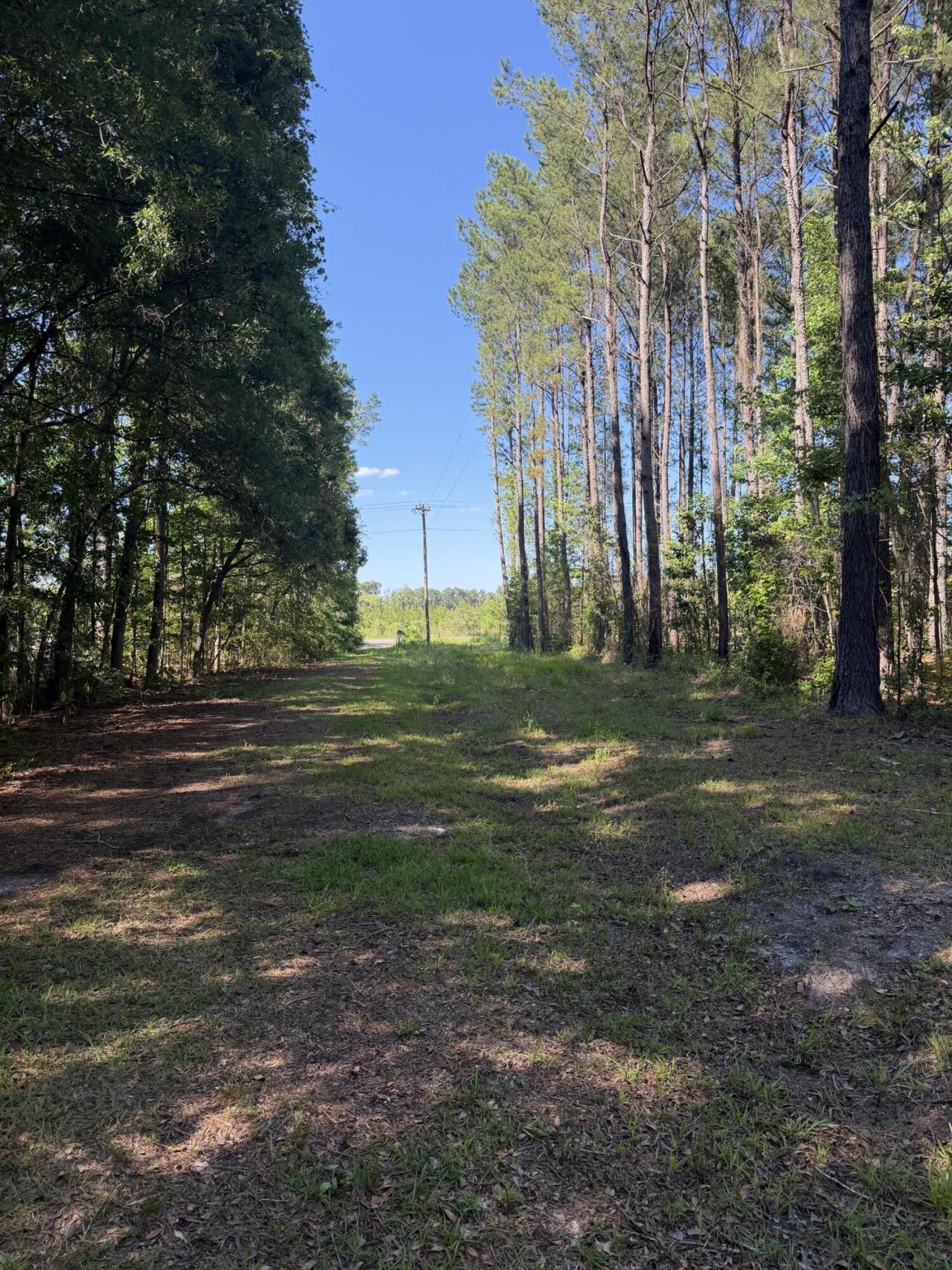 3125 State Road Photo 5