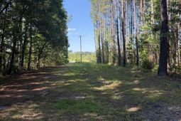 3125 State Road photo 4