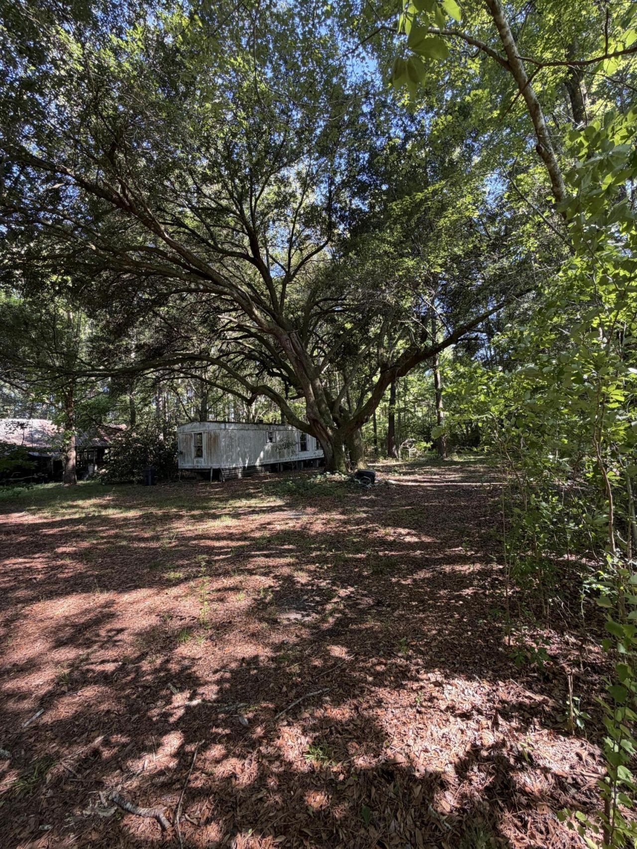3125 State Road Photo 9