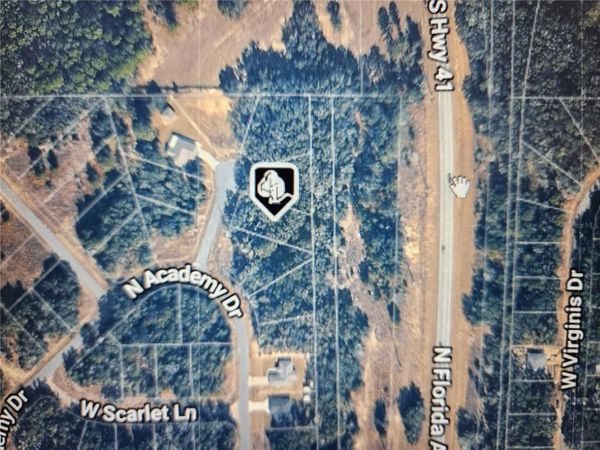 11197 N DENICE POINT , DUNNELLON, FL 34434