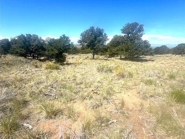 4469 Greenview Court , Crestone, CO 81131