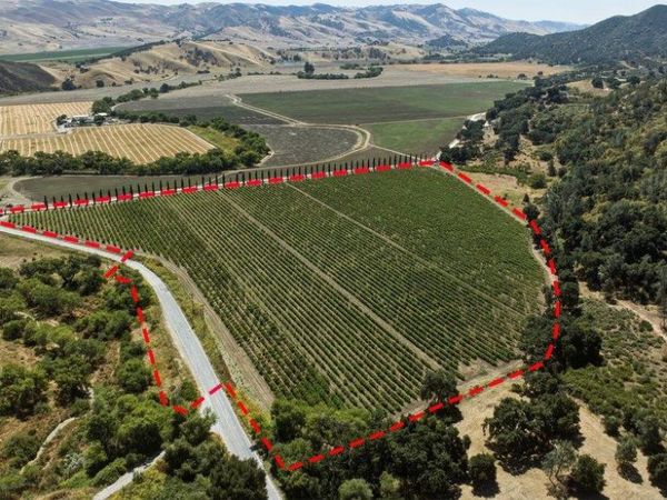 Cienega Road , Paicines, CA 95043