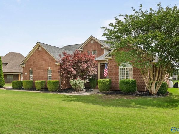 198 River Walk Trail, New Market, AL 35761