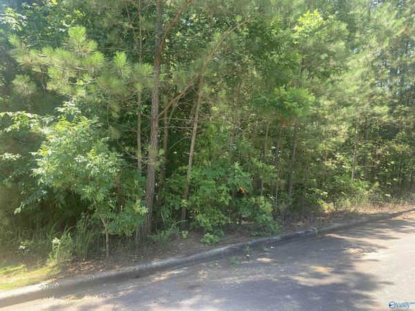 LOT 33 Cade Circle, Unit LOT 33, Leesburg, AL 35983