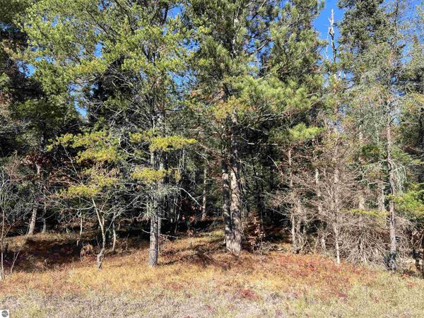 North Down River Road E, Grayling, MI 49738